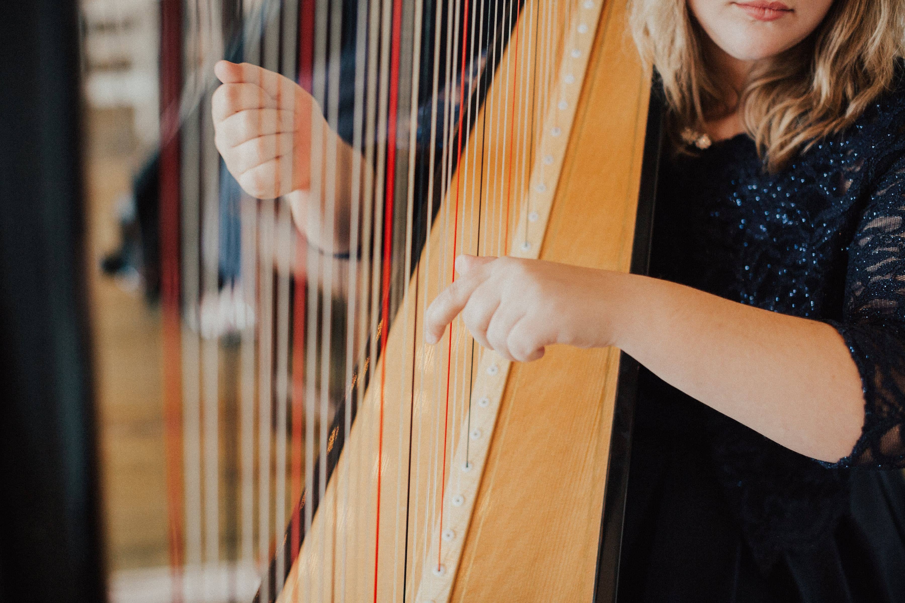 Learn how to play the Harp Melissa Srb Omaha